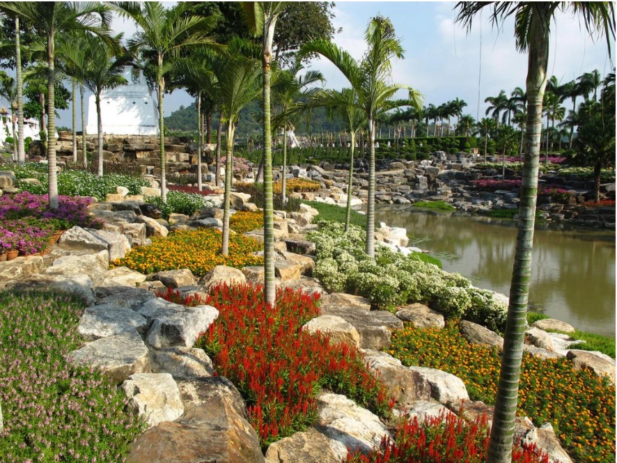 נוף בגן הבוטני הטרופי הונג נוח